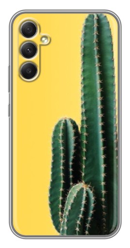 Чехол с картинкой "Яркий кактус" для Samsung Galaxy A34