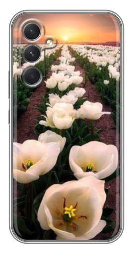 Чехол с принтом "Поле тульпанов " для Samsung Galaxy A54