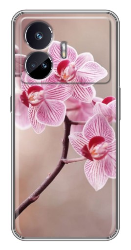 Чехол с принтом "Веточка орхидеи" для Realme GT Neo 5