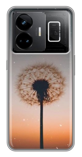 Силиконовый чехол с изображением "Ночной одуванчик" для Realme GT3
