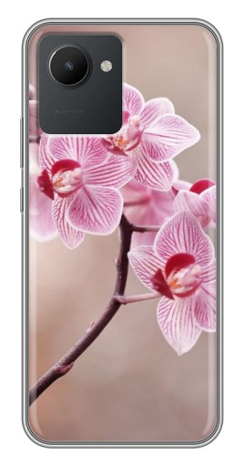 Чехол с печатью "Веточка орхидеи" для Realme C30