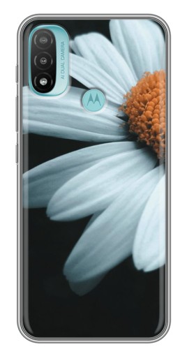 Чехол с картинкой "Белая ромашка" для Motorola MOTO E40