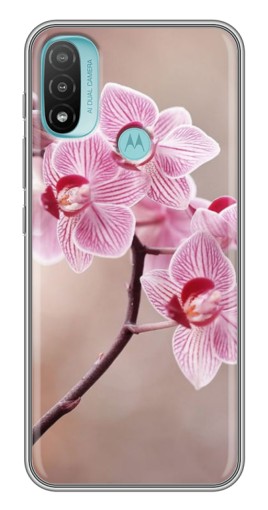 Чехол с принтом "Веточка орхидеи" для Motorola MOTO E40