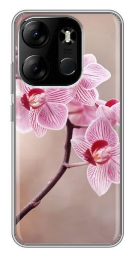 Чехол с принтом "Веточка орхидеи" для Tecno Spark Go 2023 (BF7)