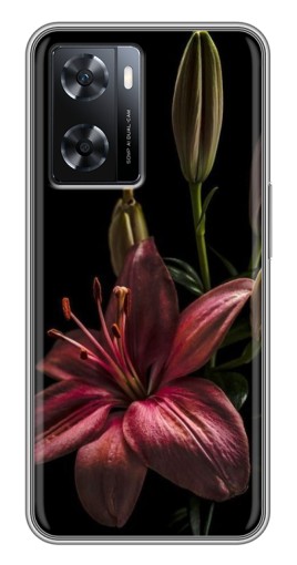 Силиконовый чехол с изображением "Красная лилия " для Oppo a57s