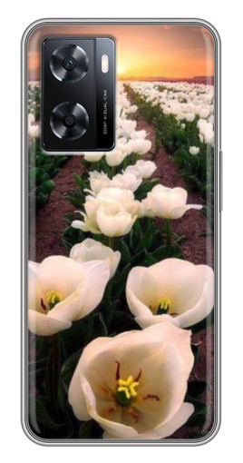 Чехол с печатью "Поле тульпанов " для Oppo a57s