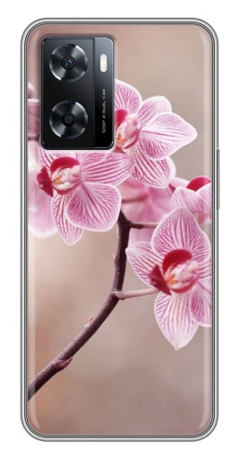 Чехол с картинкой "Веточка орхидеи" для Oppo a57s