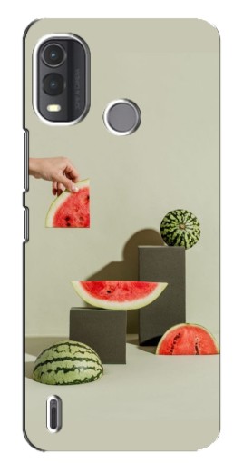 Чехол с картинкой "Арт Арбузы" для Nokia G11 Plus