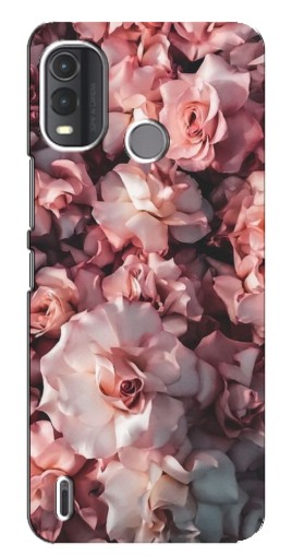 Чехол с печатью "Куст роз" для Nokia G11 Plus