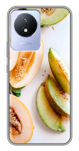 Чехол с печатью "Свежие дыньки" для Vivo Y02