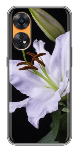 Чехол с печатью "Большая лилия" для Oppo Reno 8T
