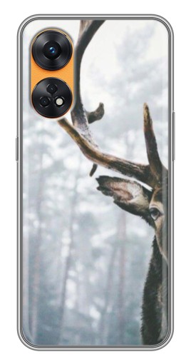 Чехол с картинкой "Большой олень" для Oppo Reno 8T