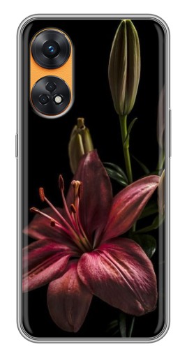Чехол с принтом "Красная лилия " для Oppo Reno 8T