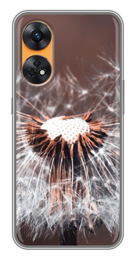 Чехол с принтом "Одуванчик вблизи" для Oppo Reno 8T