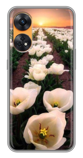Чехол с печатью "Поле тульпанов " для Oppo Reno 8T
