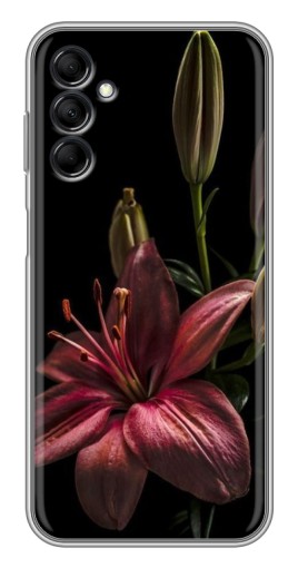 Чехол с картинкой "Красная лилия " для Samsung Galaxy M14 (M146)