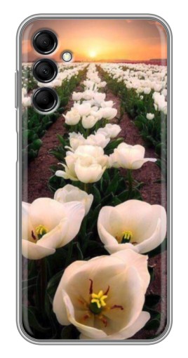 Чехол с принтом "Поле тульпанов " для Samsung Galaxy M14 (M146)