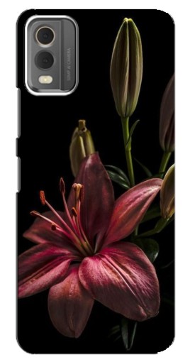 Силиконовый чехол с изображением "Красная лилия " для Nokia C32