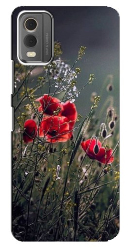 Чехол с картинкой "Поле цветов" для Nokia C32