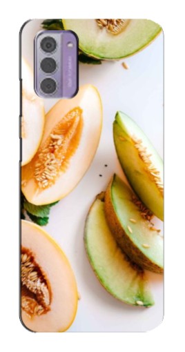 Чехол с печатью "Свежие дыньки" для Nokia G42