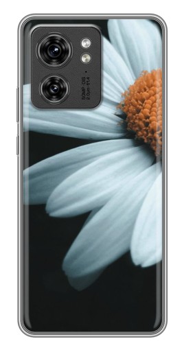 Чехол с картинкой "Белая ромашка" для Motorola Edge 40 Pro