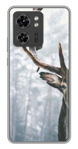Чехол с печатью "Большой олень" для Motorola Edge 40 Pro