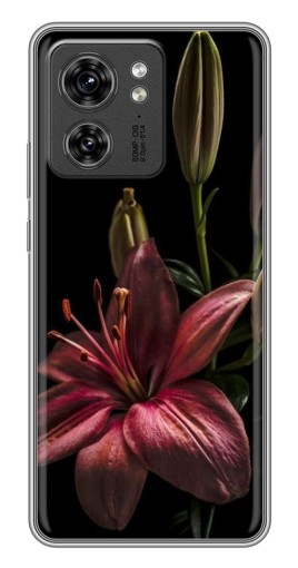 Чехол с печатью "Красная лилия " для Motorola Edge 40 Pro
