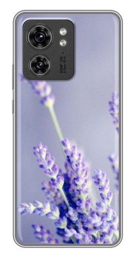 Чехол с печатью "Лаванда вблизи" для Motorola Edge 40 Pro