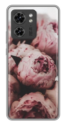 Чехол с картинкой "Нежные пионы" для Motorola Edge 40 Pro