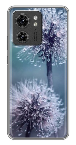 Чехол с принтом "Одуванчик с капельками" для Motorola Edge 40 Pro