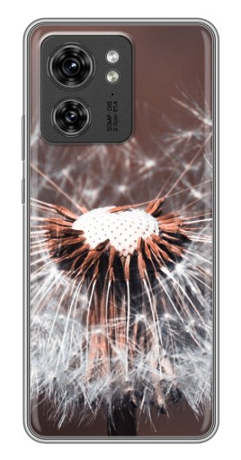 Чехол с печатью "Одуванчик вблизи" для Motorola Edge 40 Pro