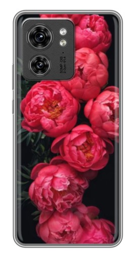 Чехол с картинкой "Яркие пионы" для Motorola Edge 40 Pro
