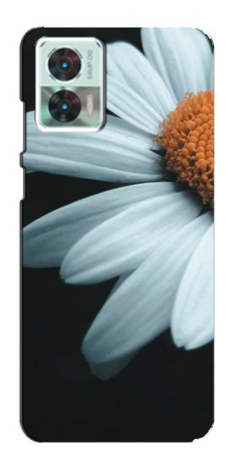 Чехол с печатью "Белая ромашка" для Motorola Edge 30 Neo