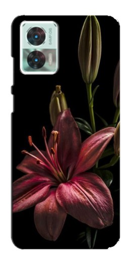 Чехол с печатью "Красная лилия " для Motorola Edge 30 Neo