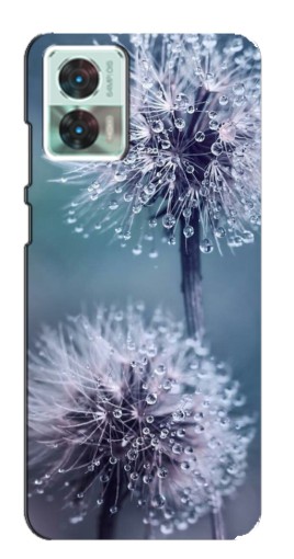 Чехол с печатью "Одуванчик с капельками" для Motorola Edge 30 Neo