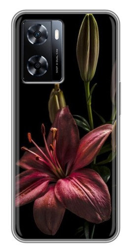 Чехол с печатью "Красная лилия " для OnePlus Nord N20 SE