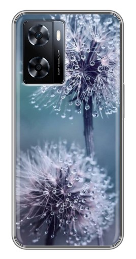 Силиконовый чехол с изображением "Одуванчик с капельками" для OnePlus Nord N20 SE