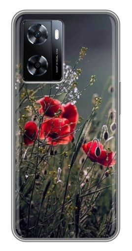 Чехол с печатью "Поле цветов" для OnePlus Nord N20 SE