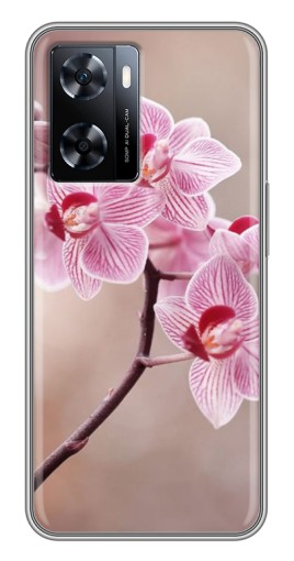 Силиконовый чехол с изображением "Веточка орхидеи" для OnePlus Nord N20 SE