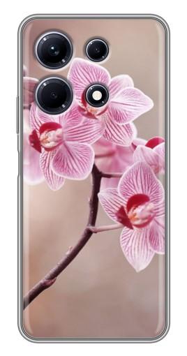 Силиконовый чехол с изображением "Веточка орхидеи" для Infinix Note 30