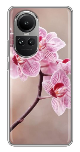 Силиконовый чехол с изображением "Веточка орхидеи" для Oppo Reno 10