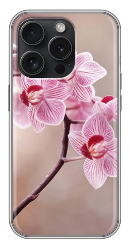 Чехол с принтом "Веточка орхидеи" для iPhone 15 Pro