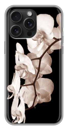 Чехол с картинкой "Черно-белая орхидея" для iPhone 15 Pro Max
