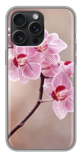 Чехол с печатью "Веточка орхидеи" для iPhone 15 Pro Max