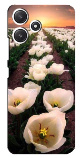Чехол с картинкой "Поле тульпанов " для Xiaomi POCO M6 Pro (5G)