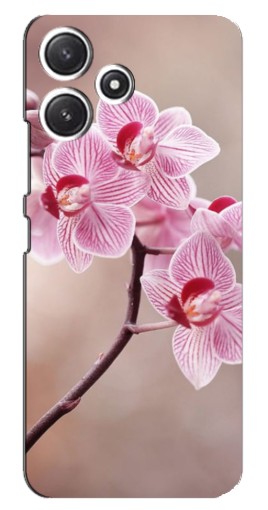 Силиконовый чехол с изображением "Веточка орхидеи" для Xiaomi POCO M6 Pro (5G)