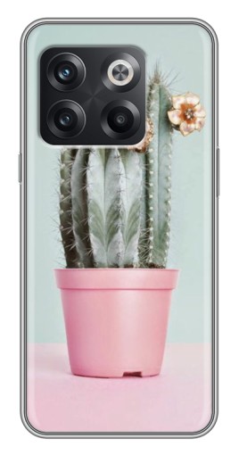 Чехол с картинкой "Цветущий кактус" для OnePlus 10T