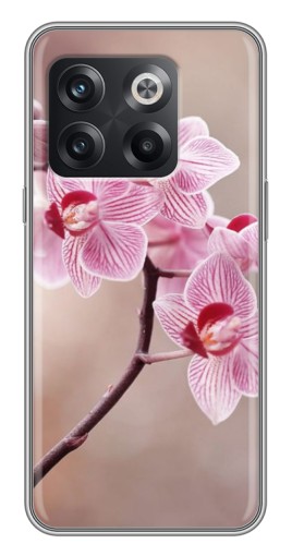 Чехол с принтом "Веточка орхидеи" для OnePlus 10T