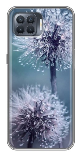Чехол с печатью "Одуванчик с капельками" для OPPO Reno 4 Lite