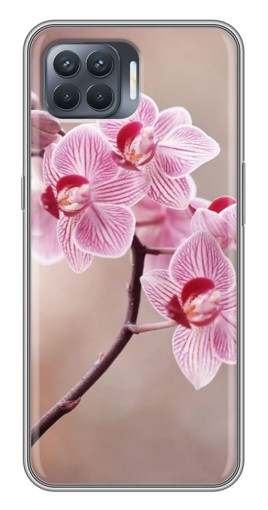 Чехол с принтом "Веточка орхидеи" для OPPO Reno 4 Lite